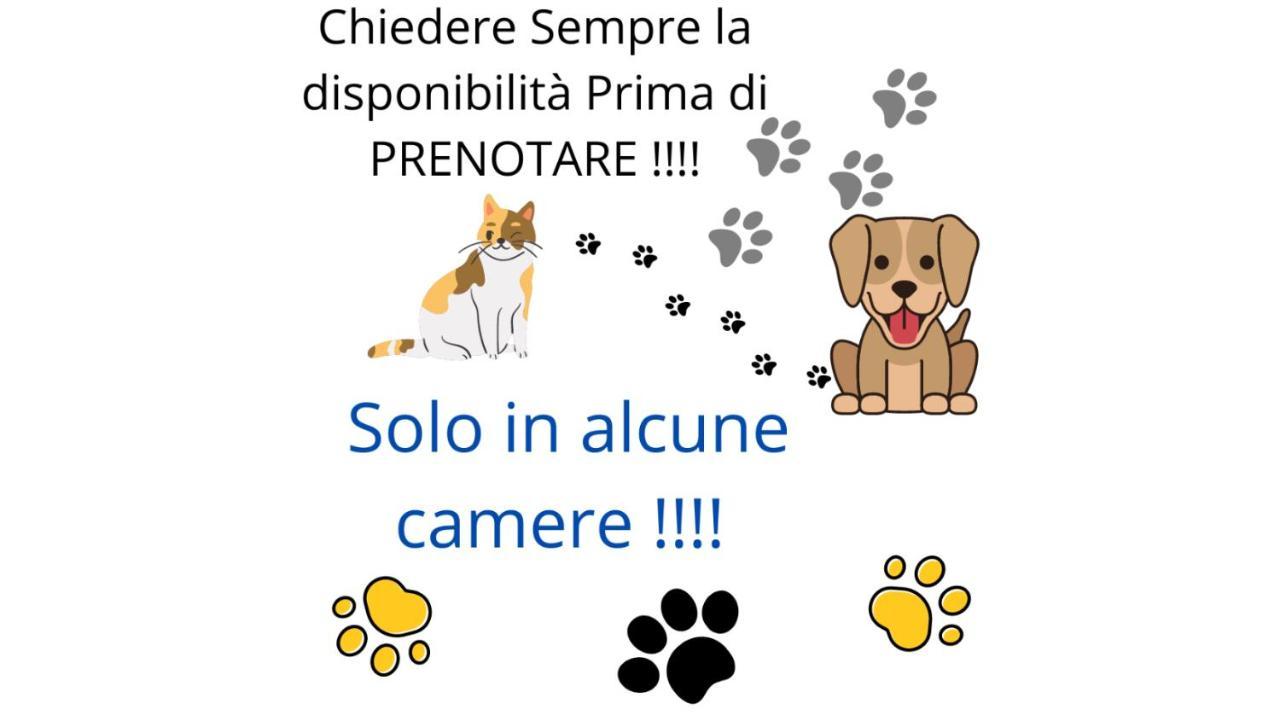 Terra Ciociara Bnb Frosinone Zewnętrze zdjęcie